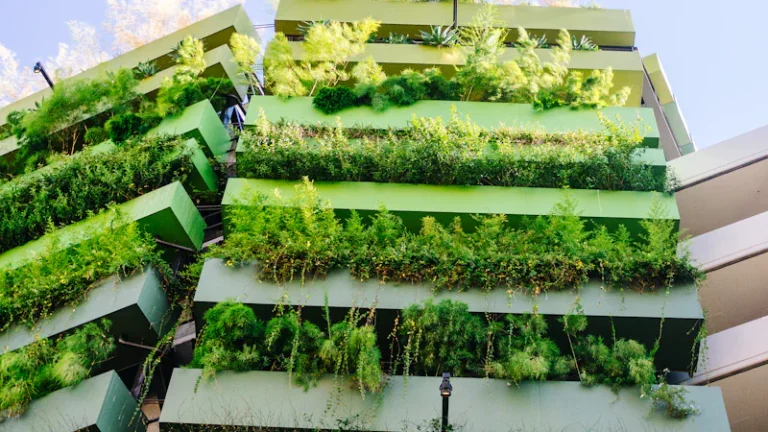 Featured image for What Brands Care About the Environment Top 15 in 2025