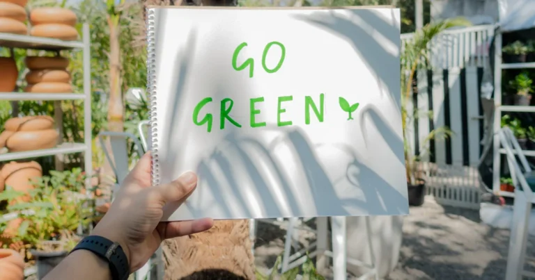 Featured image for 50 Best Eco Friendly Products to Transform Your Life 2025