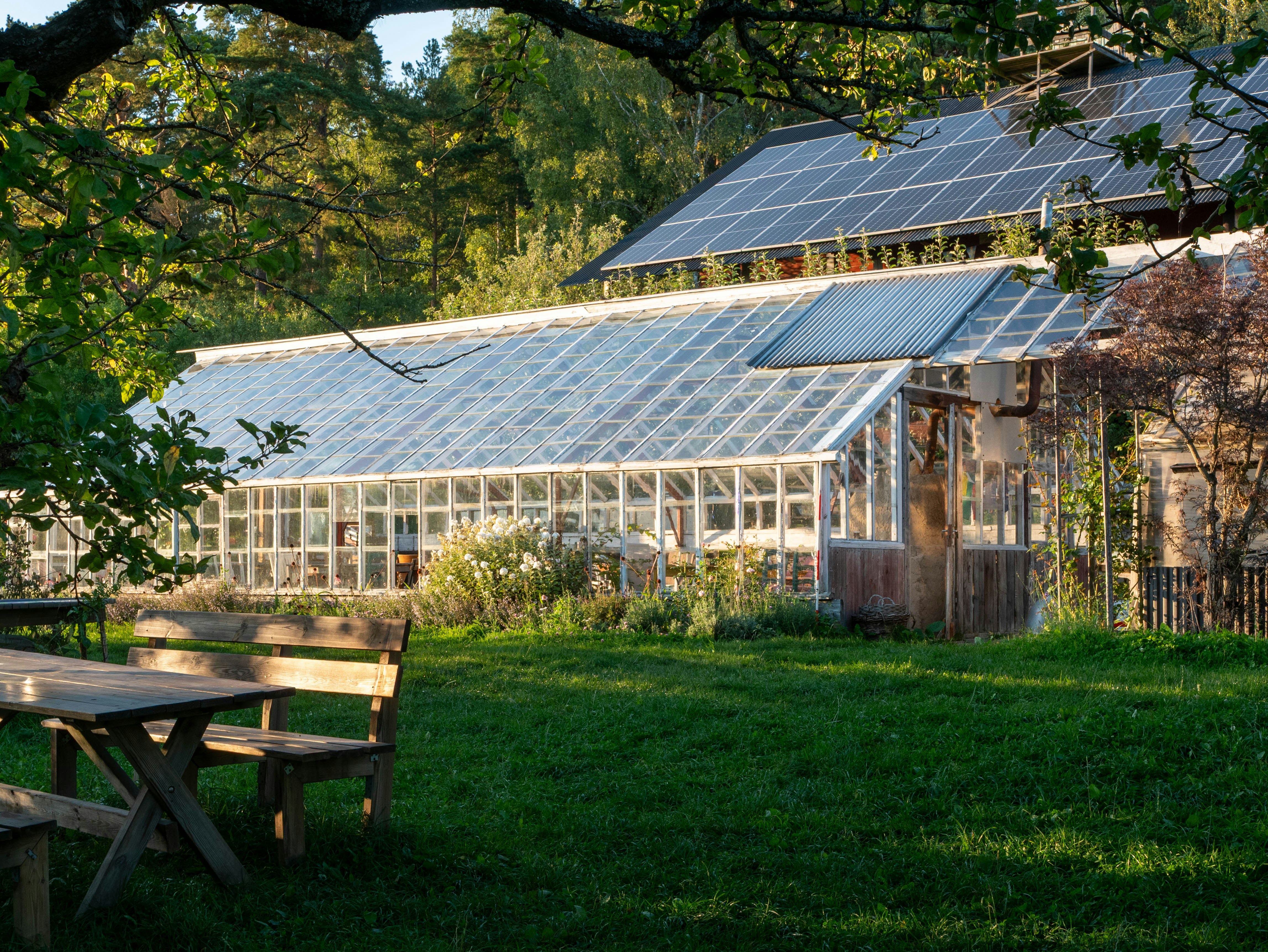 ❓ FAQ: Your Burning Solar Questions, Answered! by Gone Greenish Greenhouse and building with solar panels in garden.