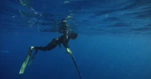 Featured image for 15 Ocean Conservation Jobs You Can Dive Into in 2025