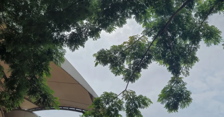 Featured image for Do Green Homes Sell Faster 14 Surprising Facts You Need 2025