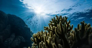 Featured image for What Is Ocean Conservation 7 Essential Facts You Need to Know 2025