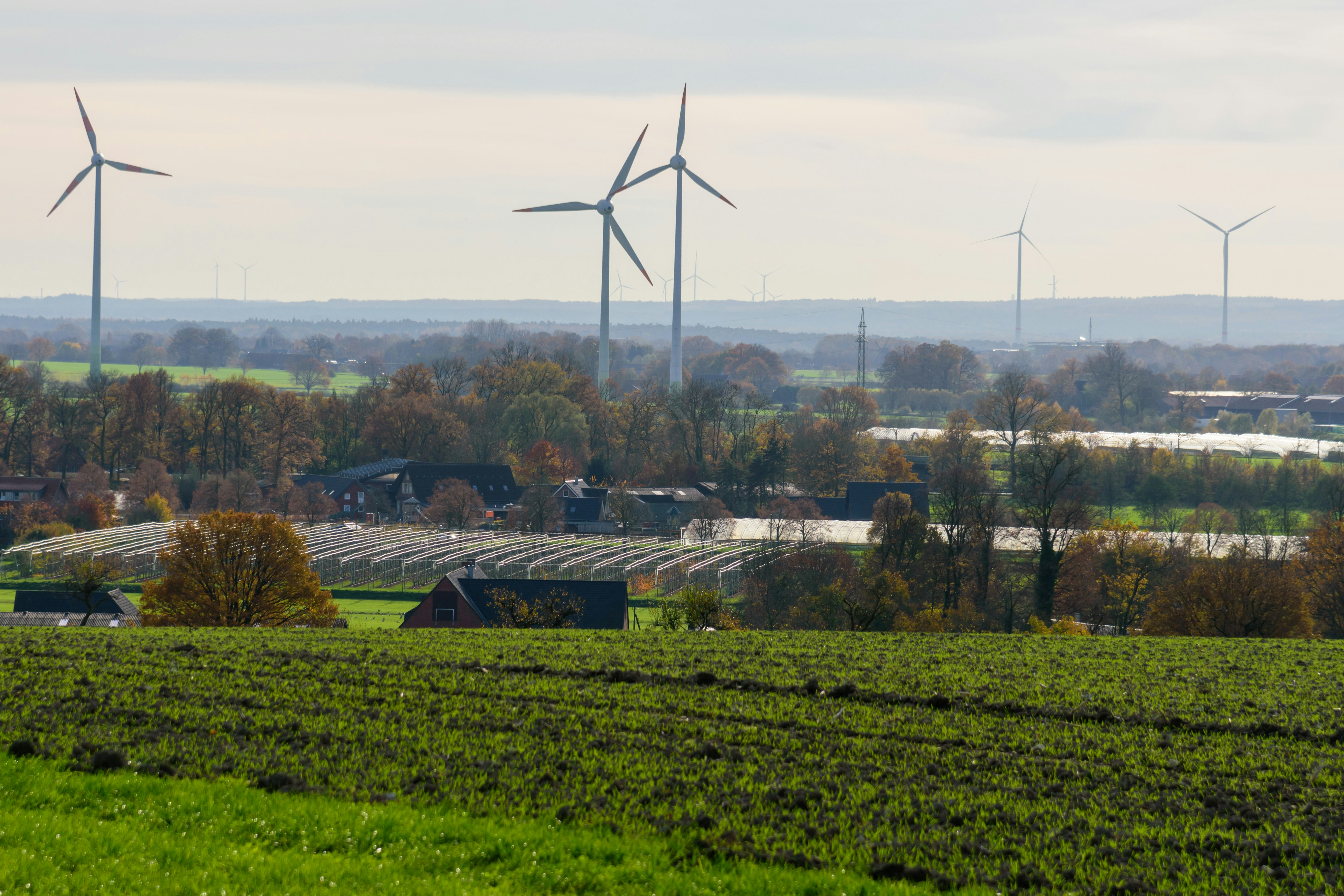 Wind turbines stand over a rural landscape with greenhouses.