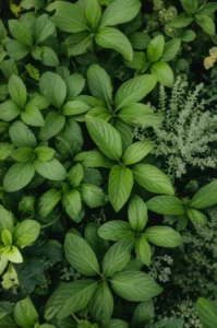 Featured image for What Is Natural Wellness 12 Secrets to Thrive in 2026