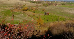 Featured image for Is It Illegal to Live Off the Grid in the US 15 Truths You Must Know 2026