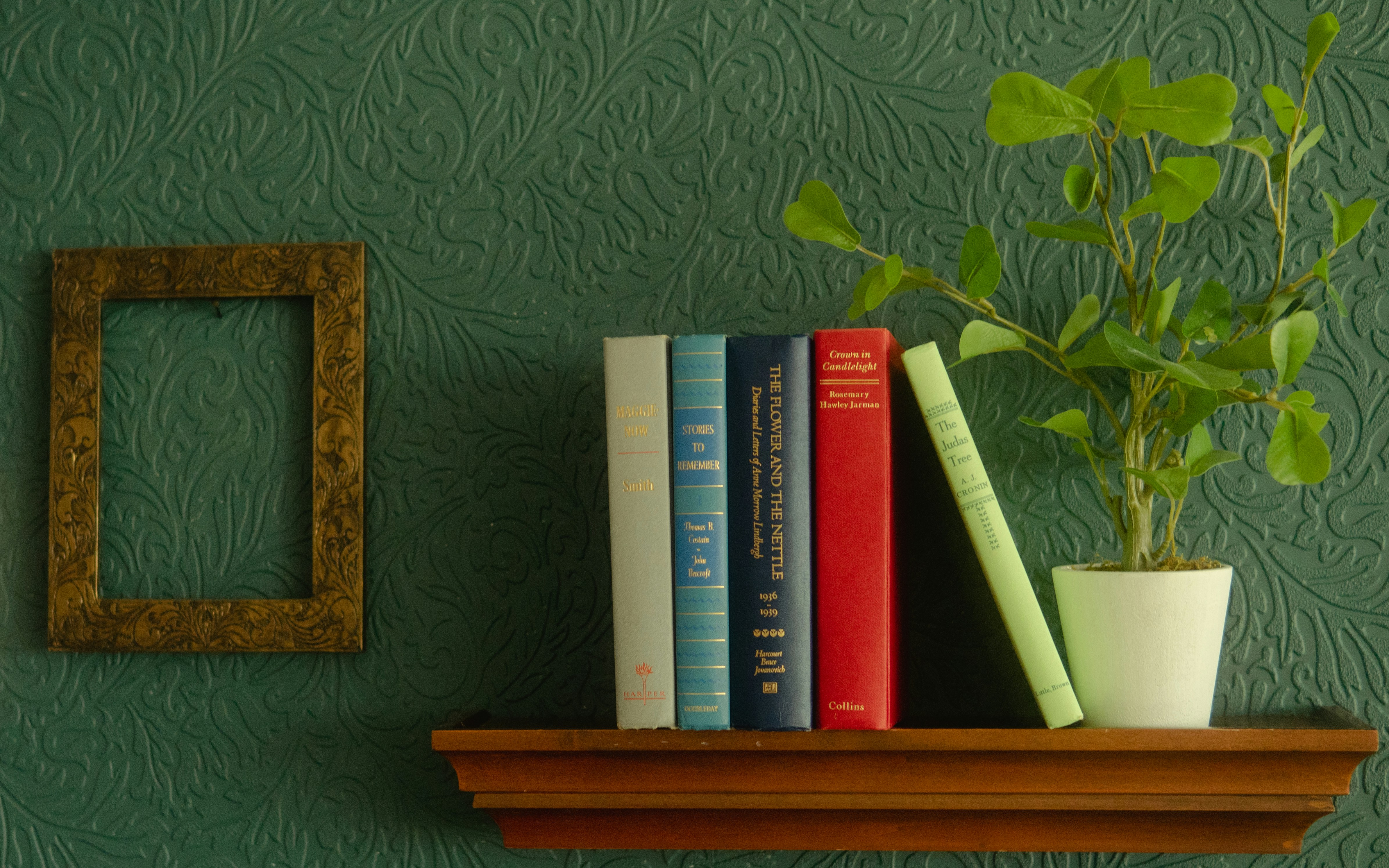 Green home book by Gone Greenish books on brown wooden shelf
