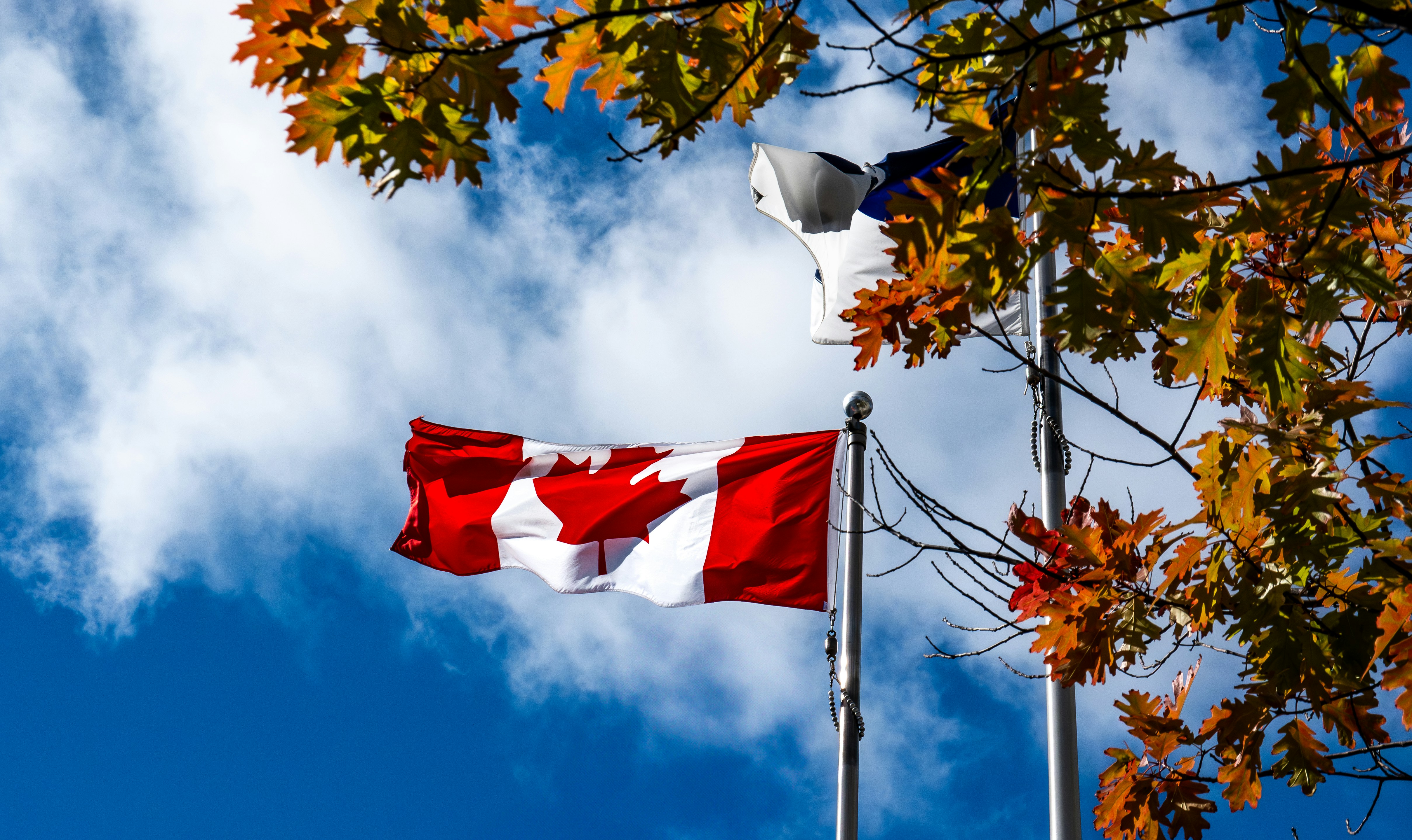 A canadian flag flying in the wind next to a street light