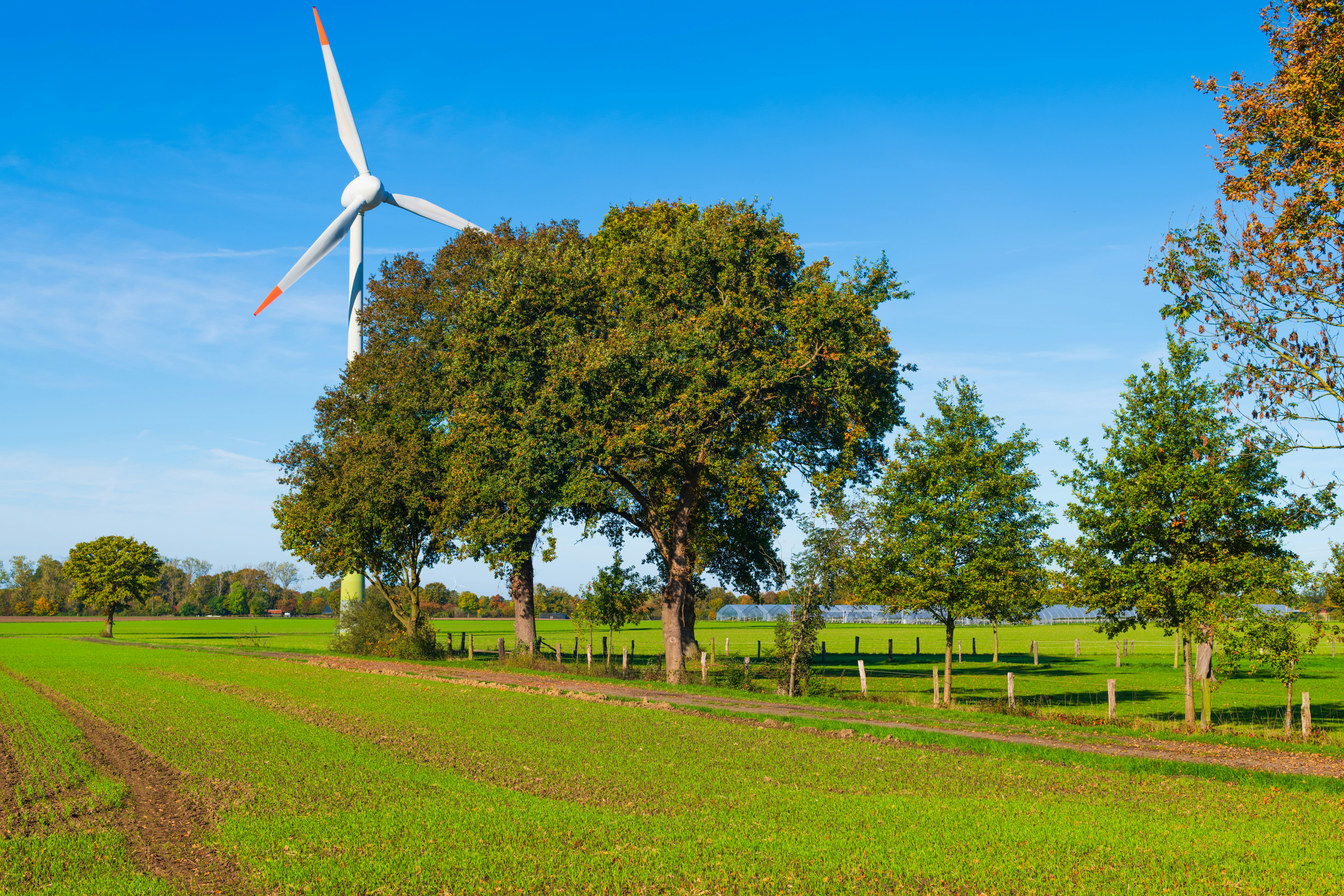 Wind turbine in a green field with trees