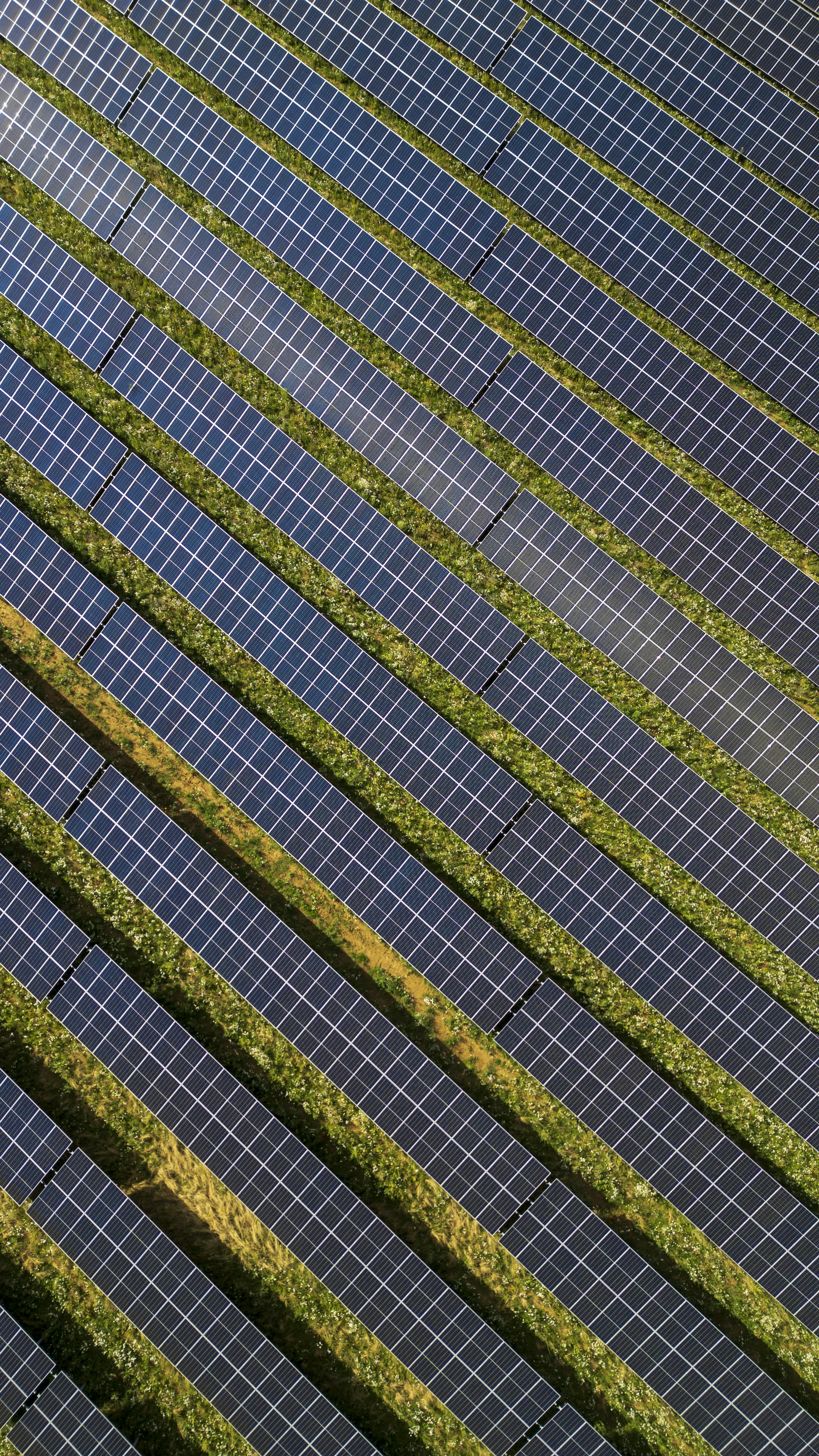 A bird sitting on top of a grass covered field