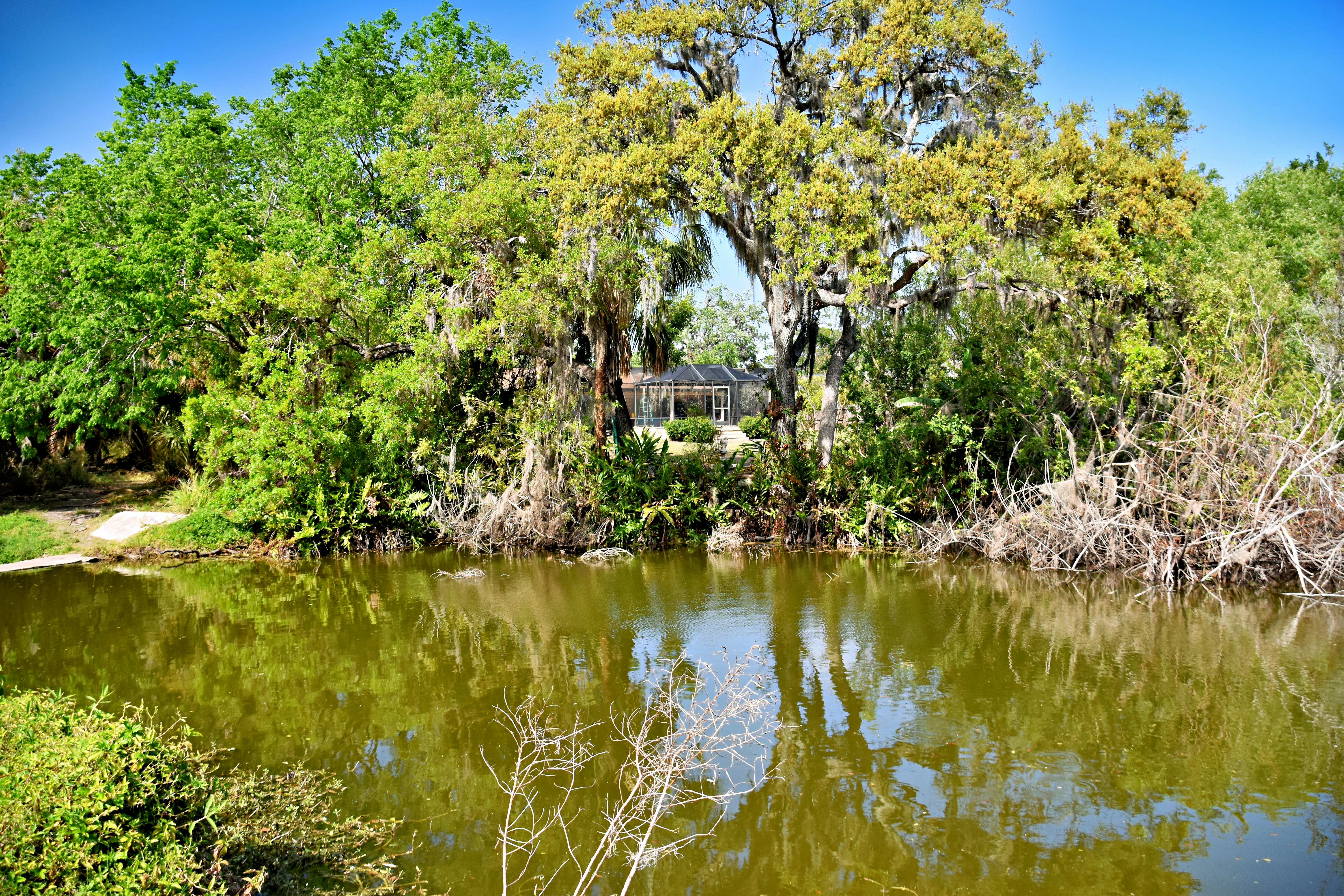 Trees surround a calm lake with reflections.