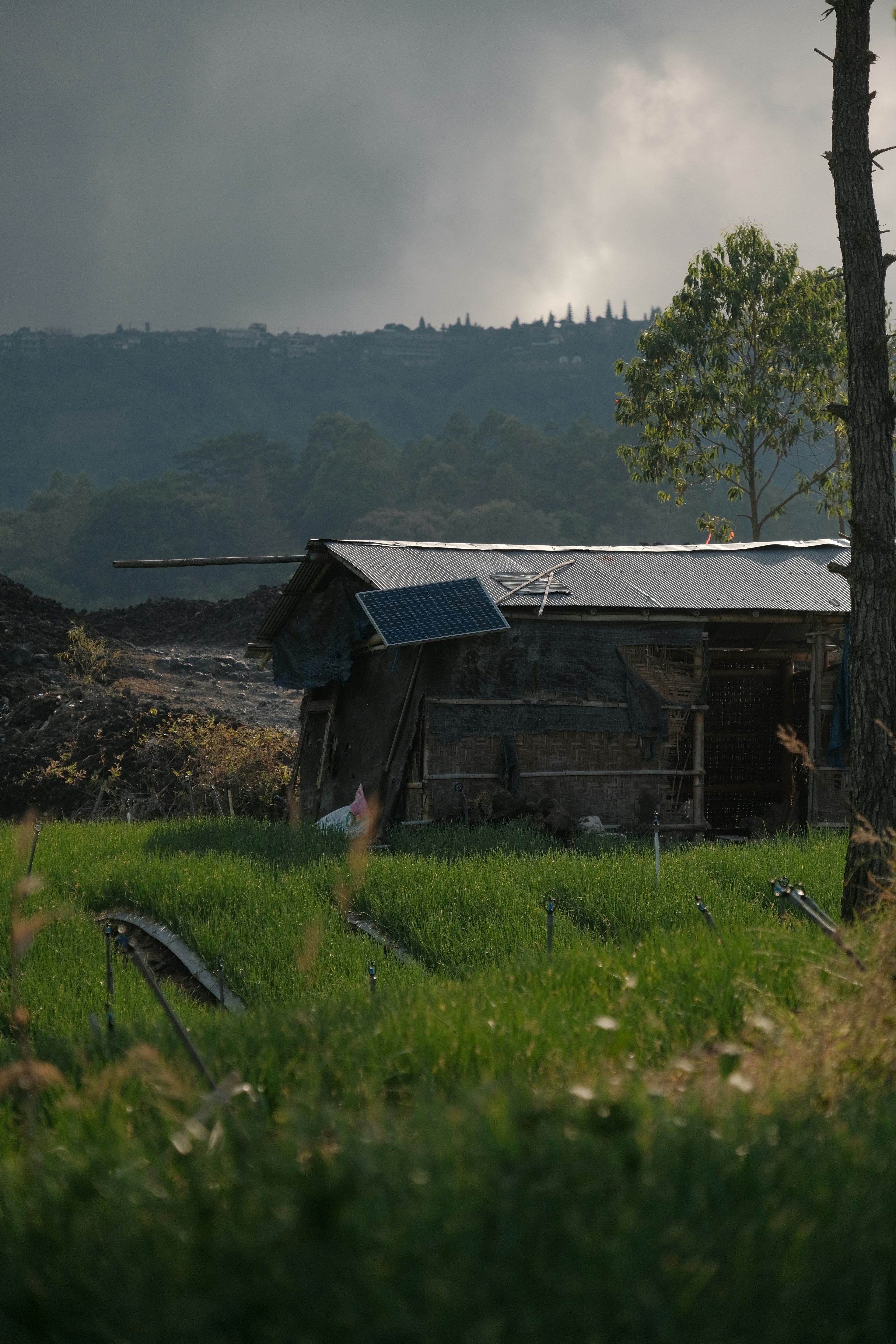 Rustic wooden shack with solar panel in grassy field.