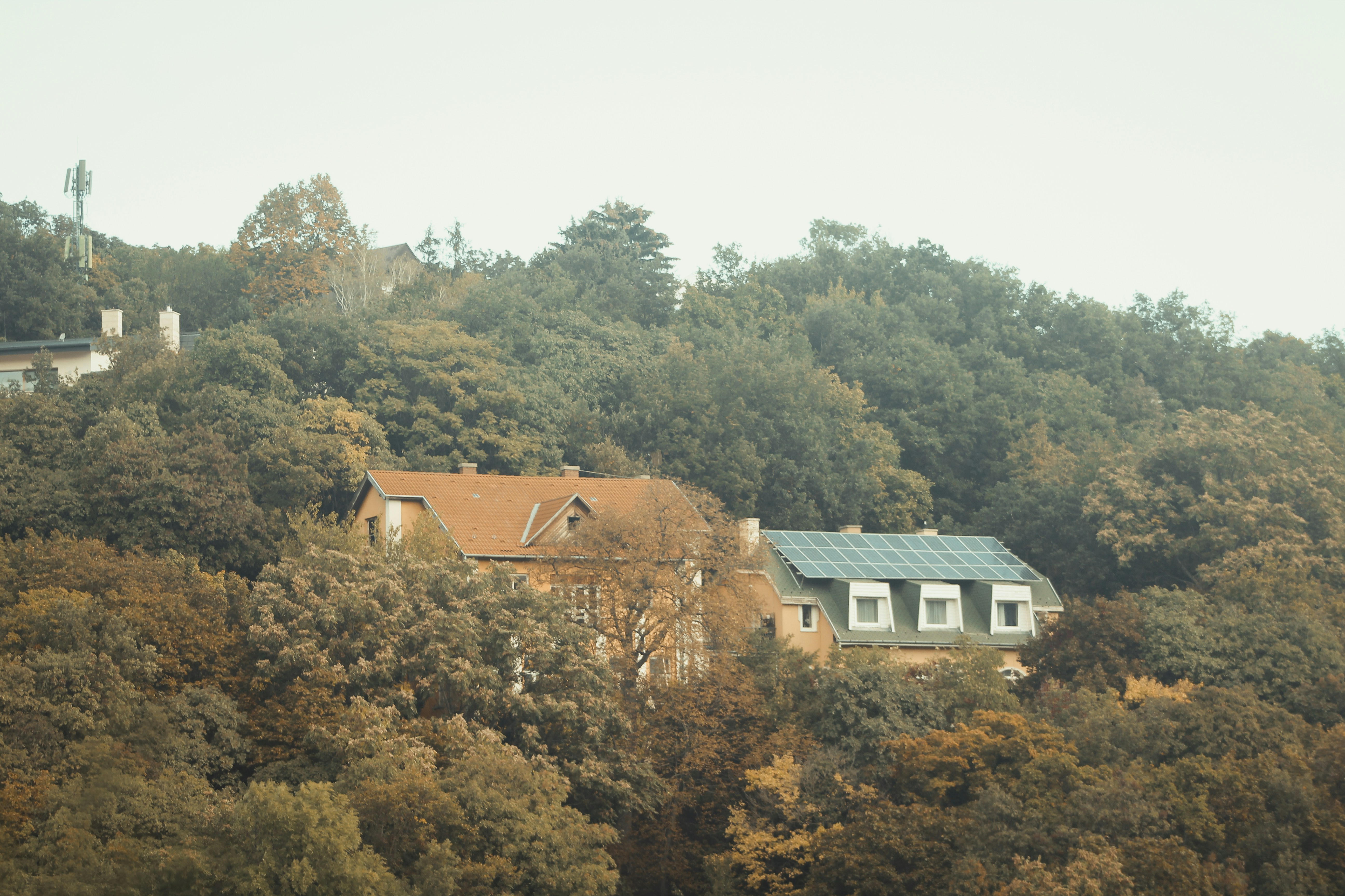 Two houses nestled among autumn trees on a hill.