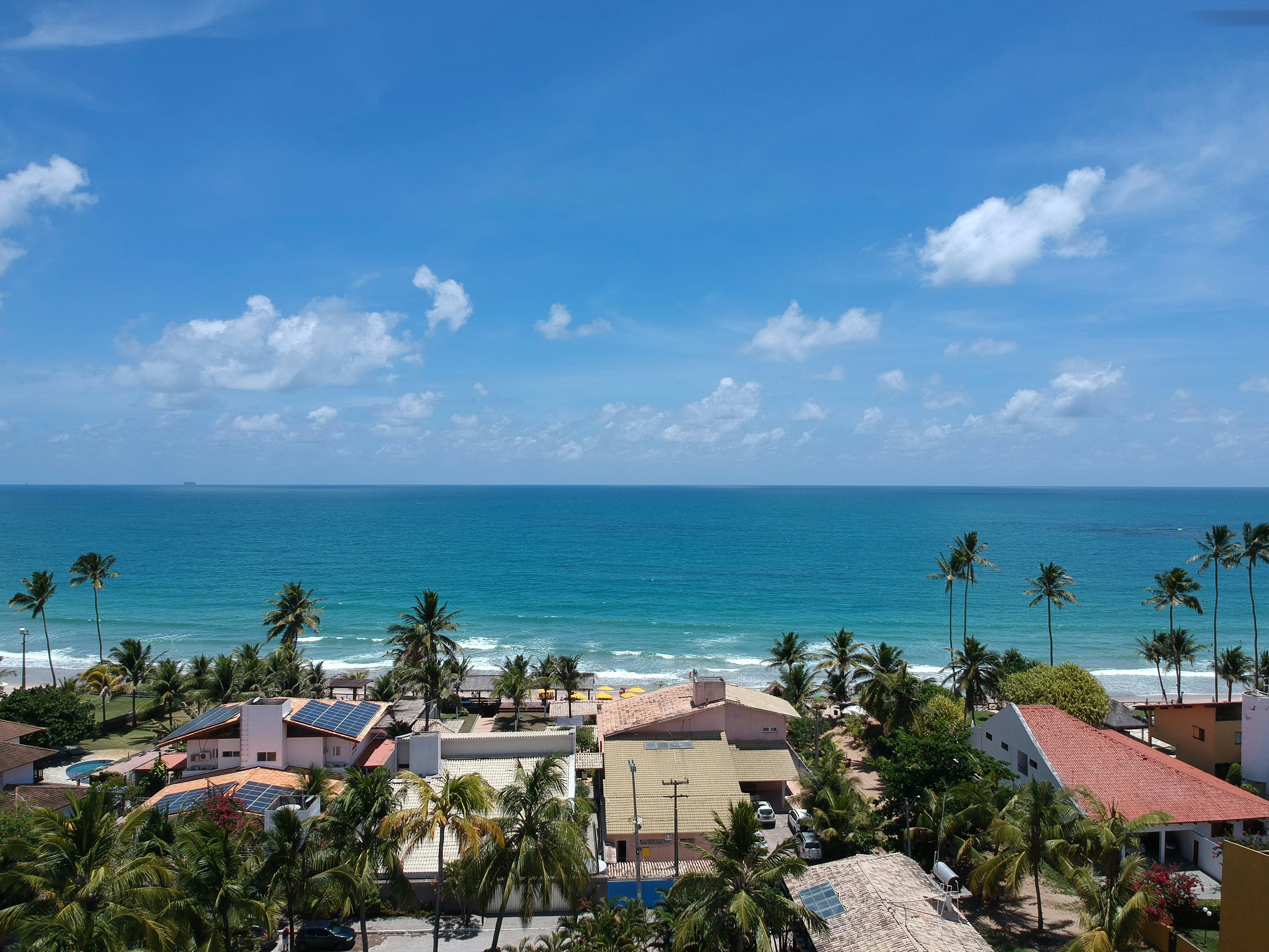 Tropical beach with palm trees and blue ocean.