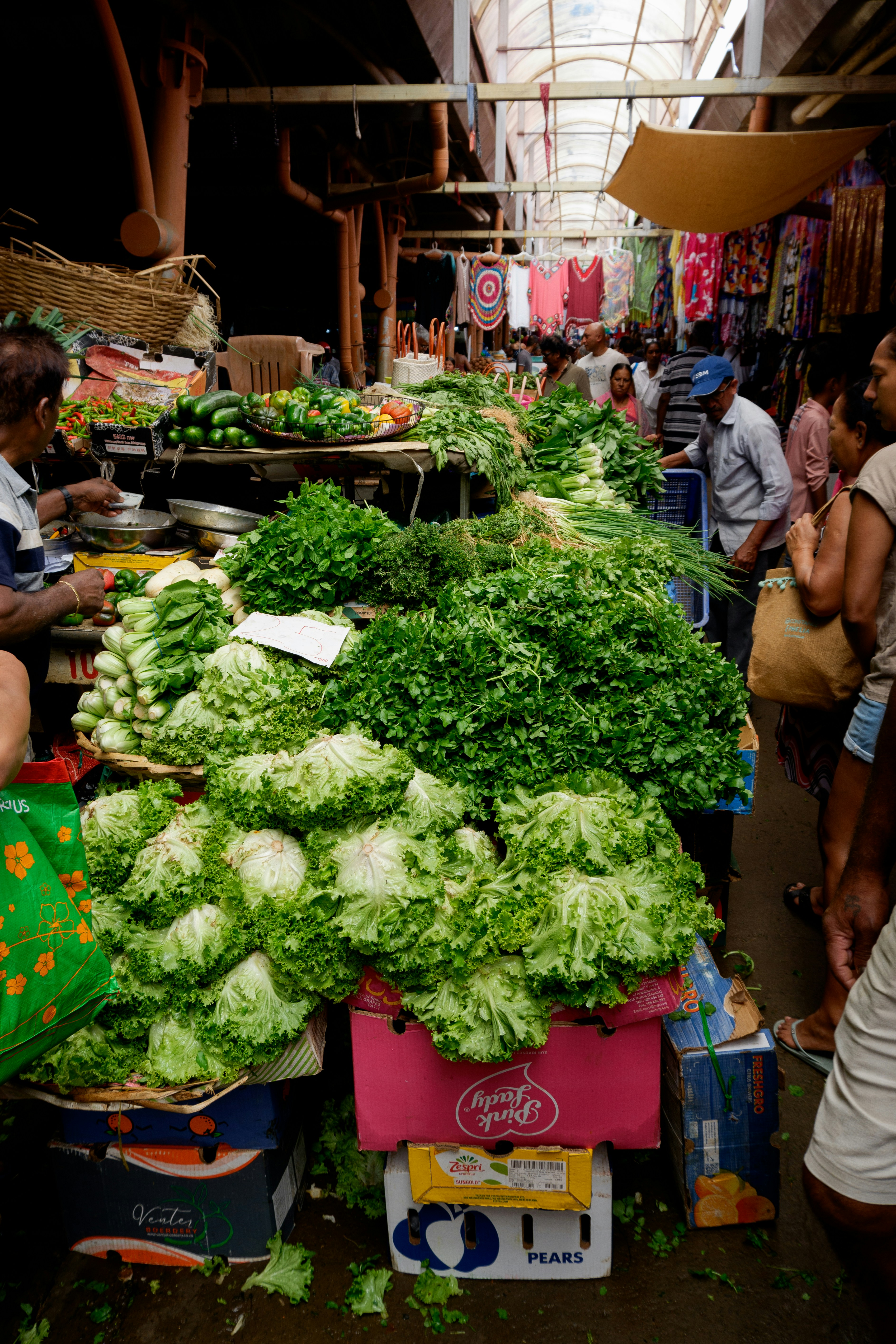 Fresh lettuce and vegetables displayed at an outdoor market.
