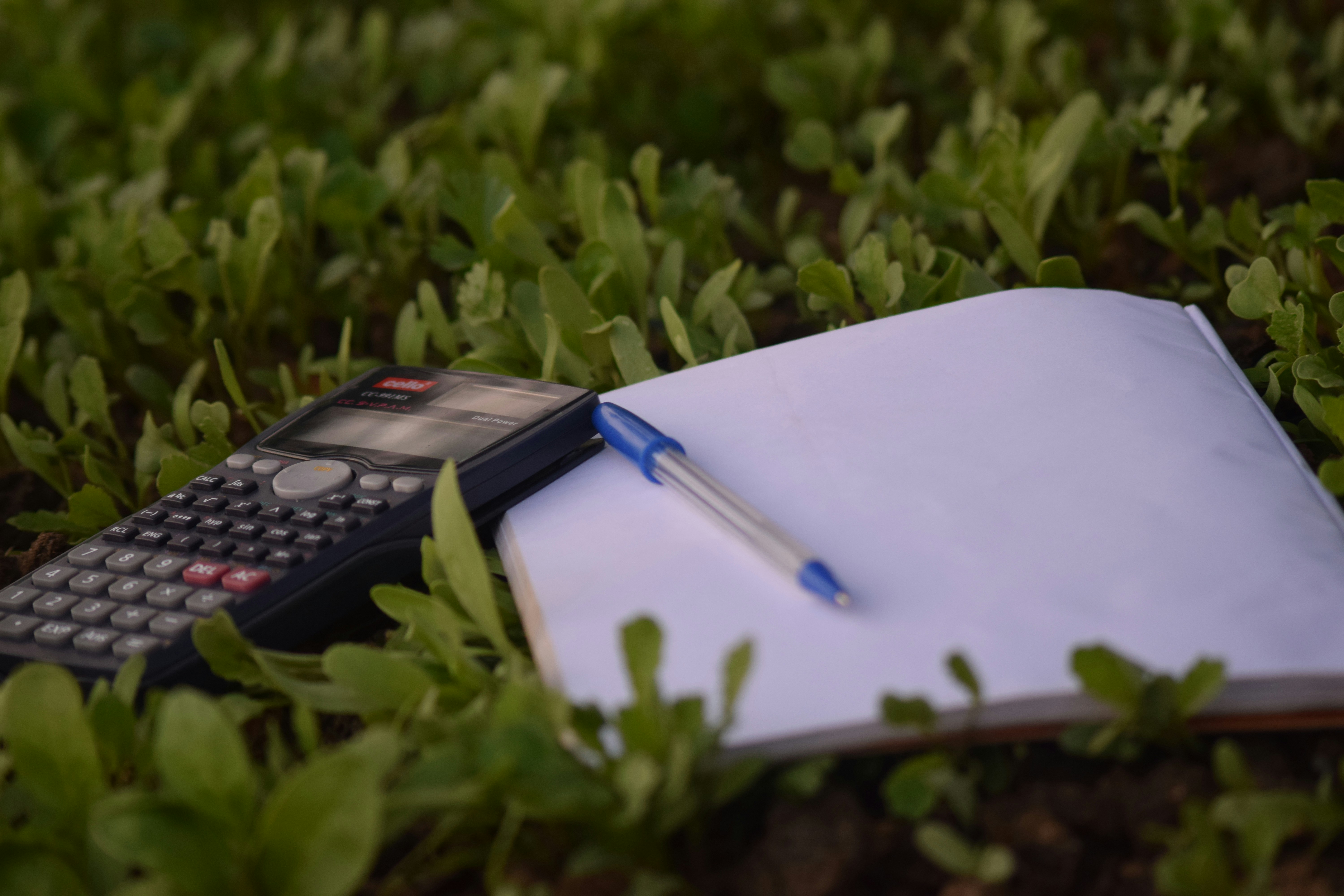 Carbon footprint calculator for students by Gone Greenish blue ballpoint pen on paper beside calculator