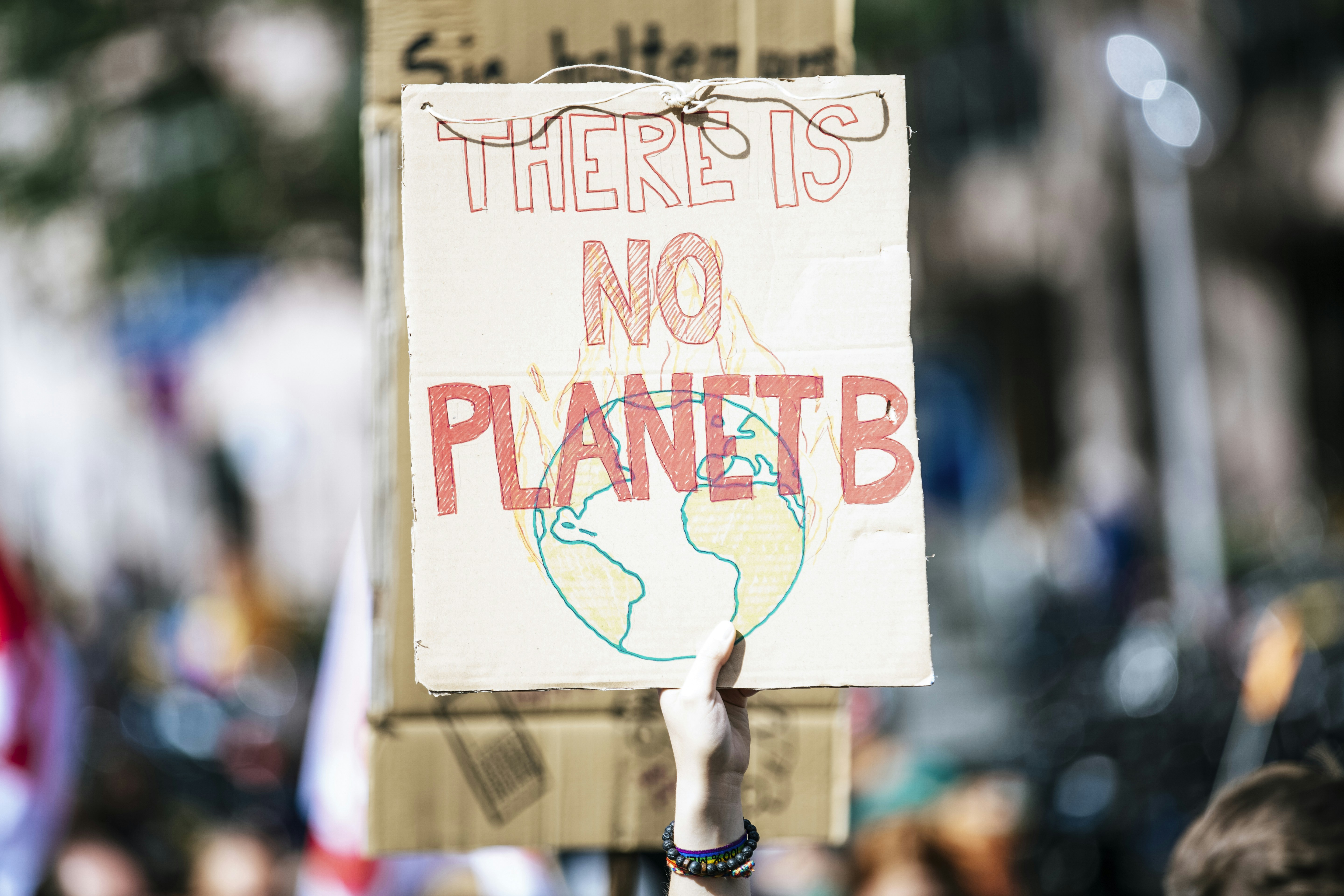 THERE IS NO PLANET B. Global climate change protest demonstration strike - No Planet B - 09-20-2019 by Gone Greenish a protest sign that says there is no planet b