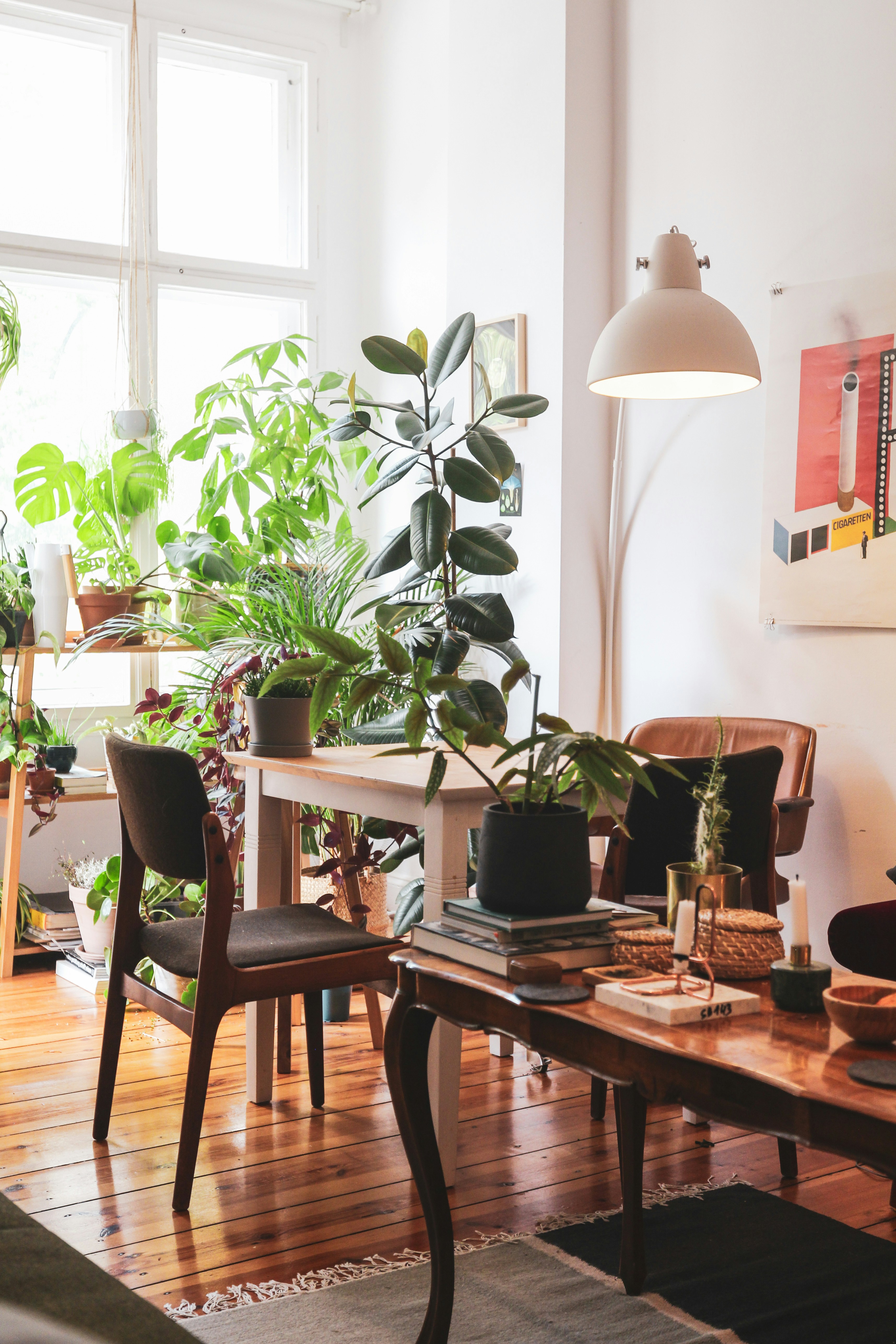 Bohemian living room in urban jungle in Berlin, Germany. Shooting location available for rent for your next shoot via www.beazy.co
by Gone Greenish green potted plant on brown wooden table