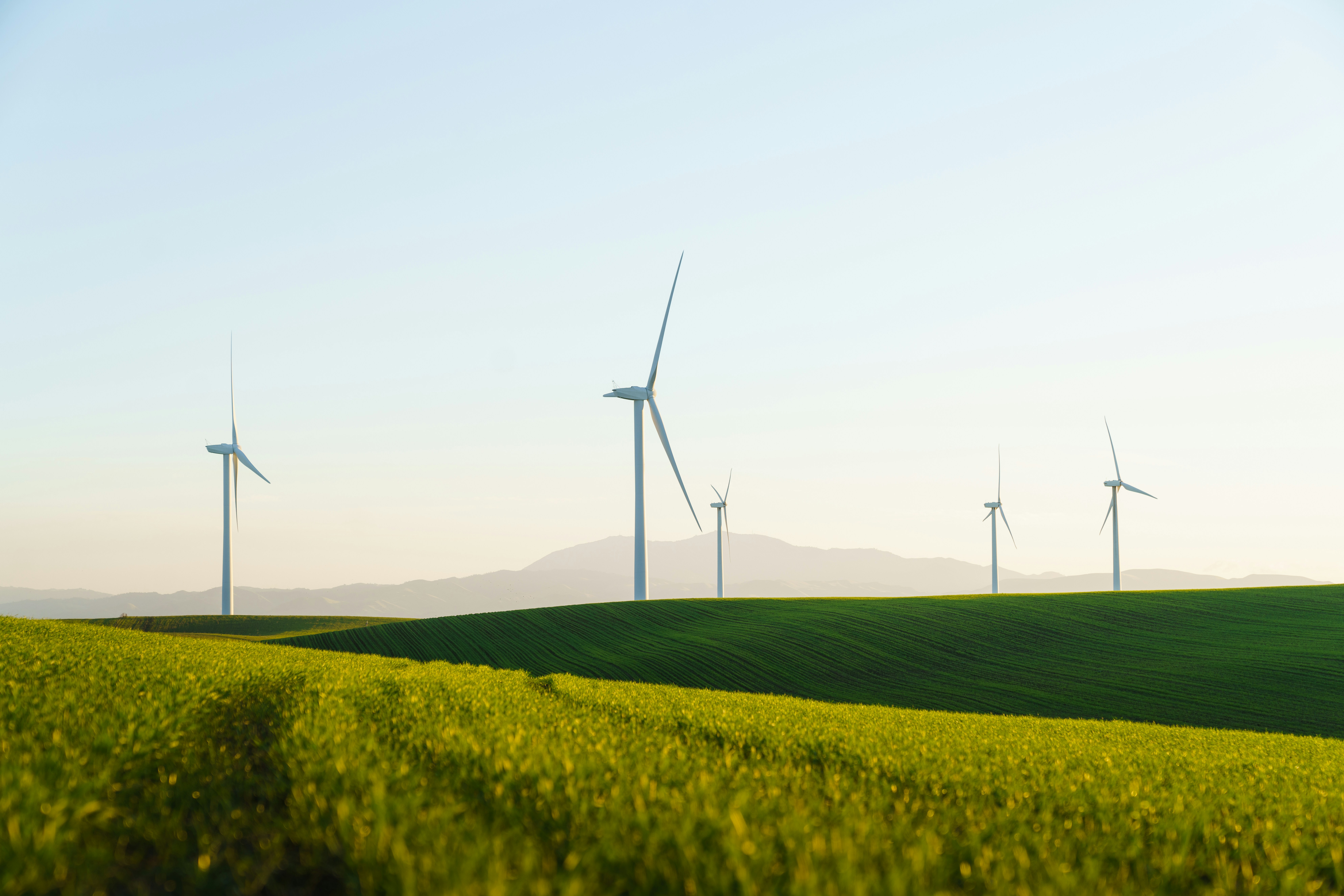 🌍 Background: The Evolution from Carbon Neutrality to Green Energy by Gone Greenish a field of green grass with wind turbines in the background