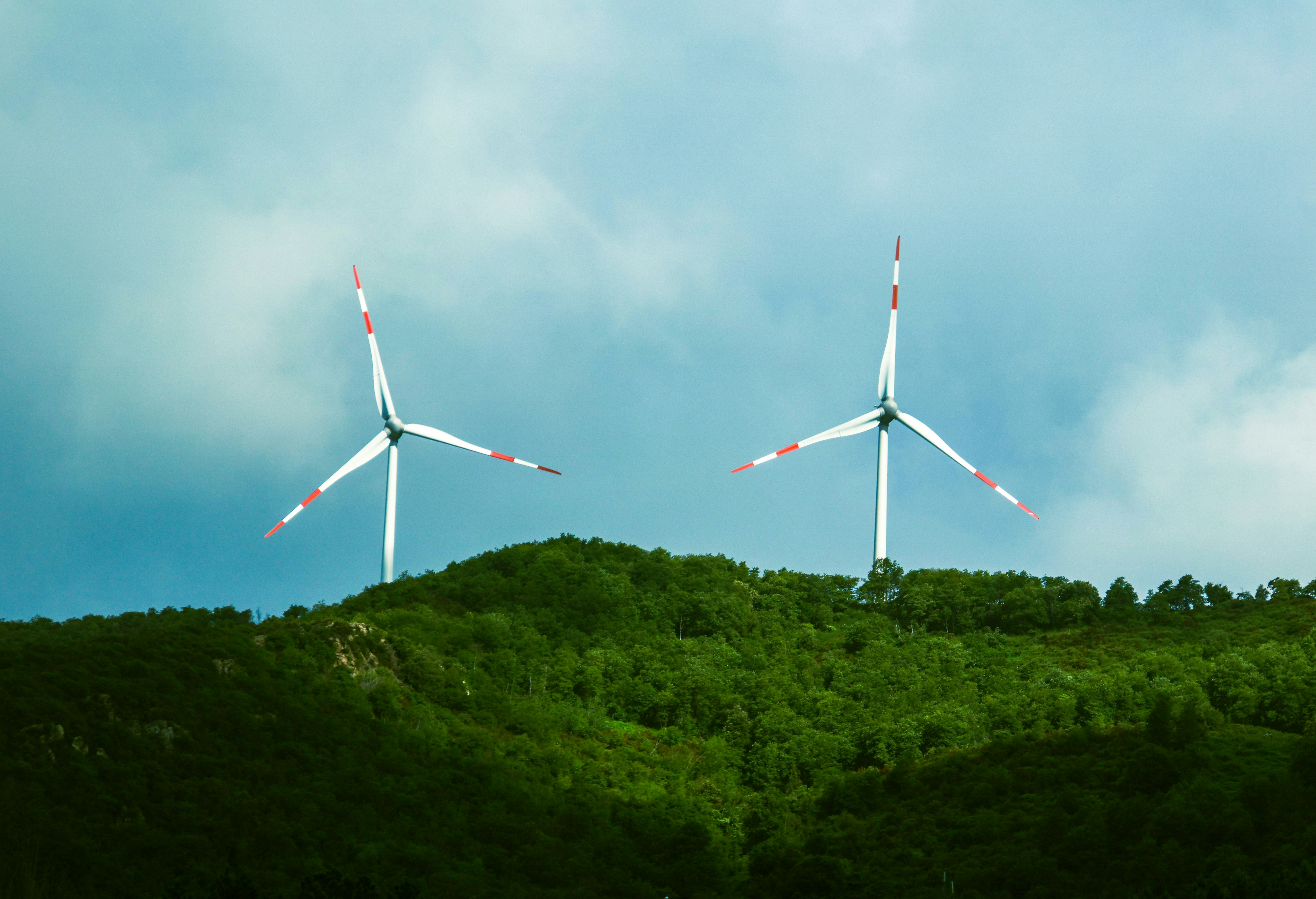 🏁 Conclusion: The Final Verdict on Carbon Neutrality by Gone Greenish a couple of windmills that are on a hill