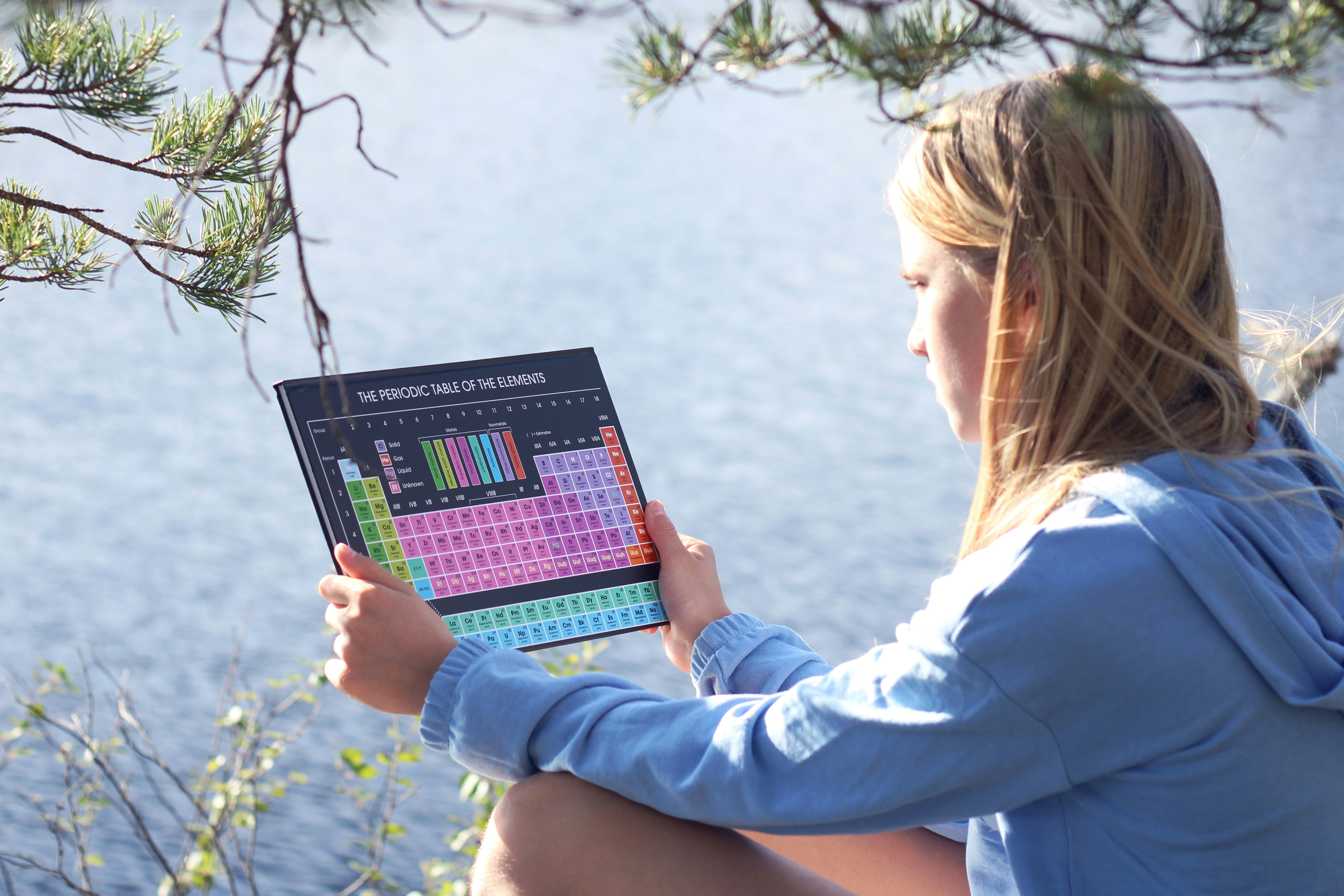 Periodic Table of Elements by Gone Greenish a young girl sitting on a rock holding a book