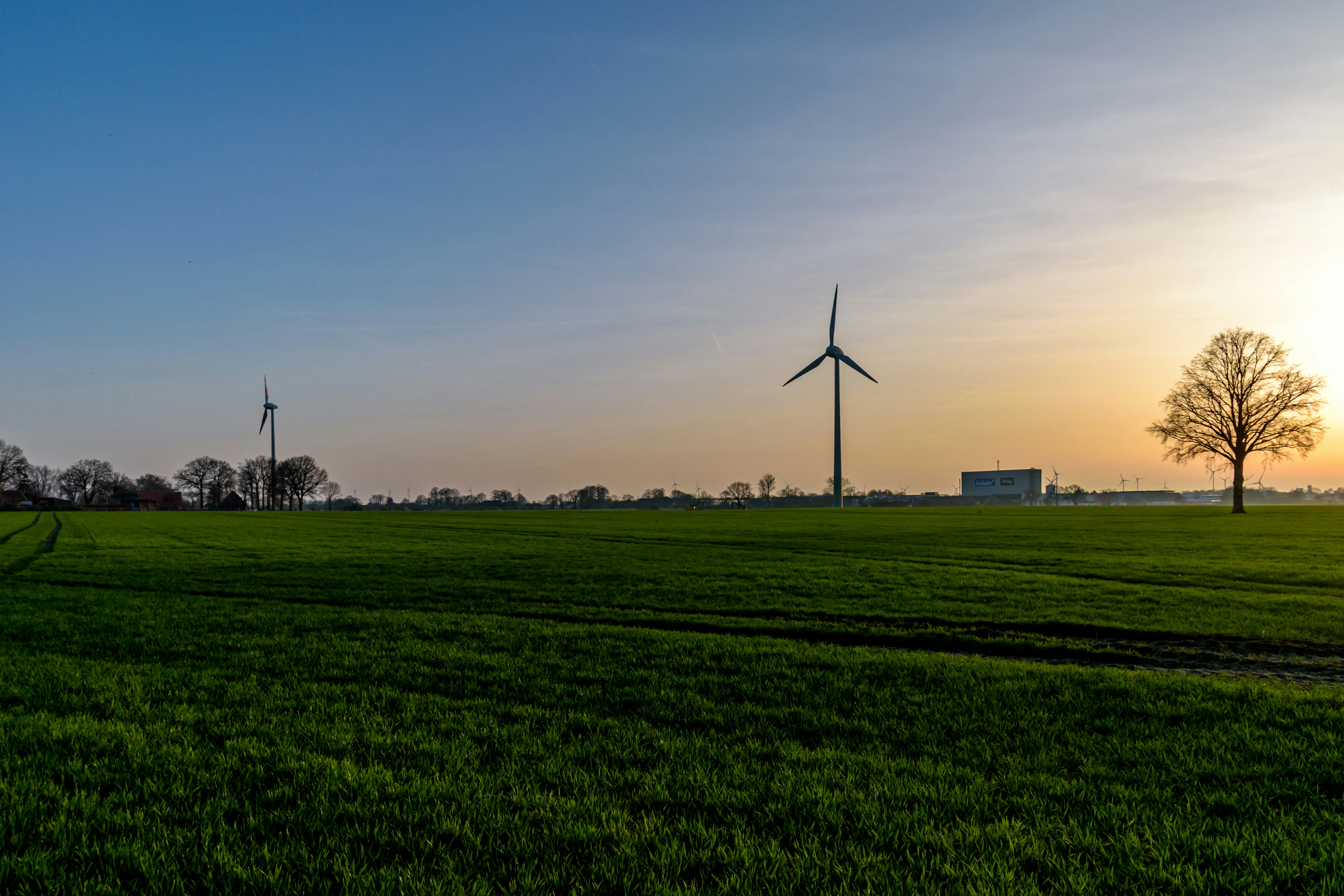 ❓ FAQ: Your Burning Questions Answered by Gone Greenish Wind turbines in a green field at sunset
