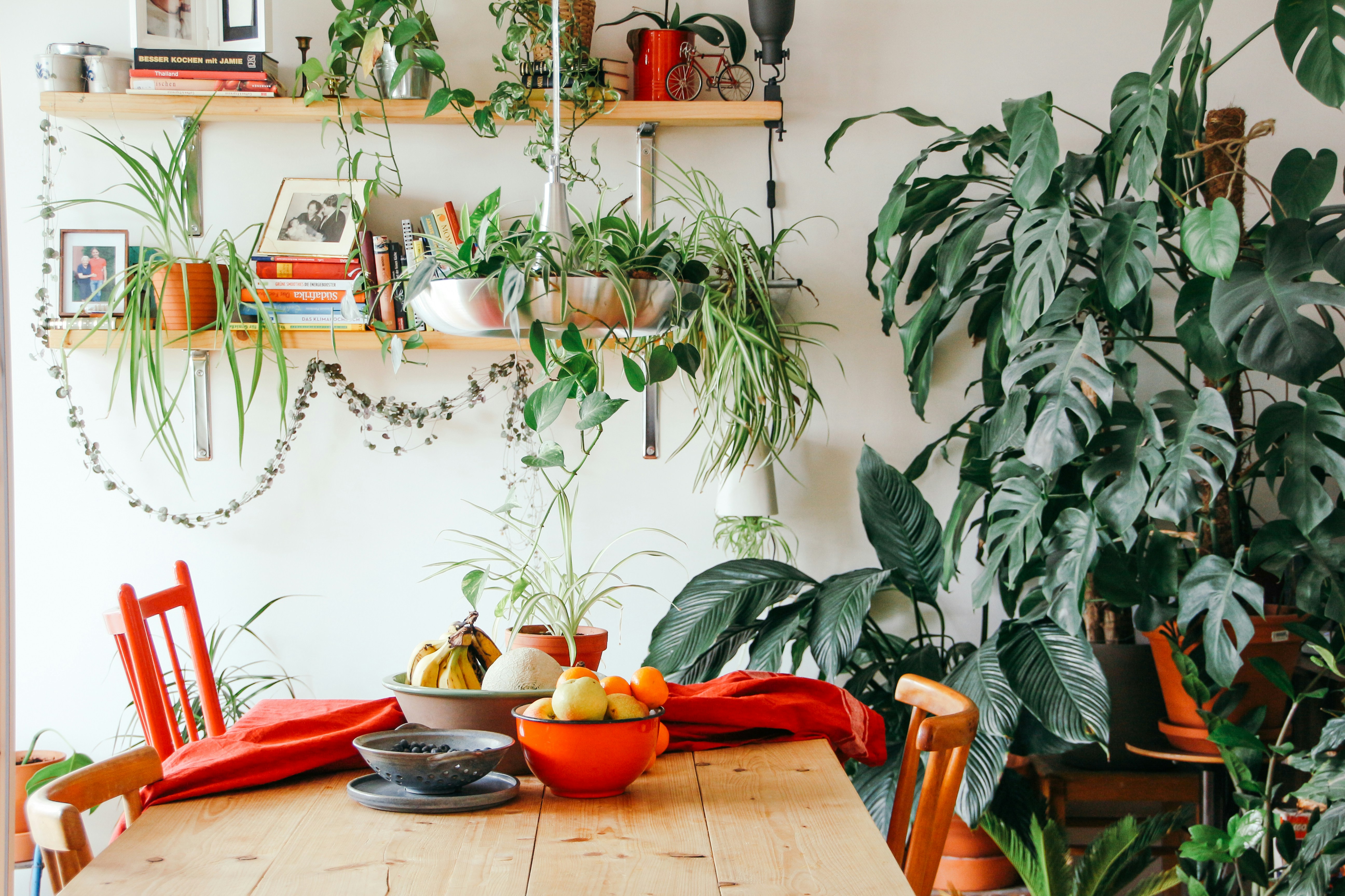 🌍 The Roots of Green: A Brief History of Sustainable Living by Gone Greenish fruits in bowls on table near green leaf plant