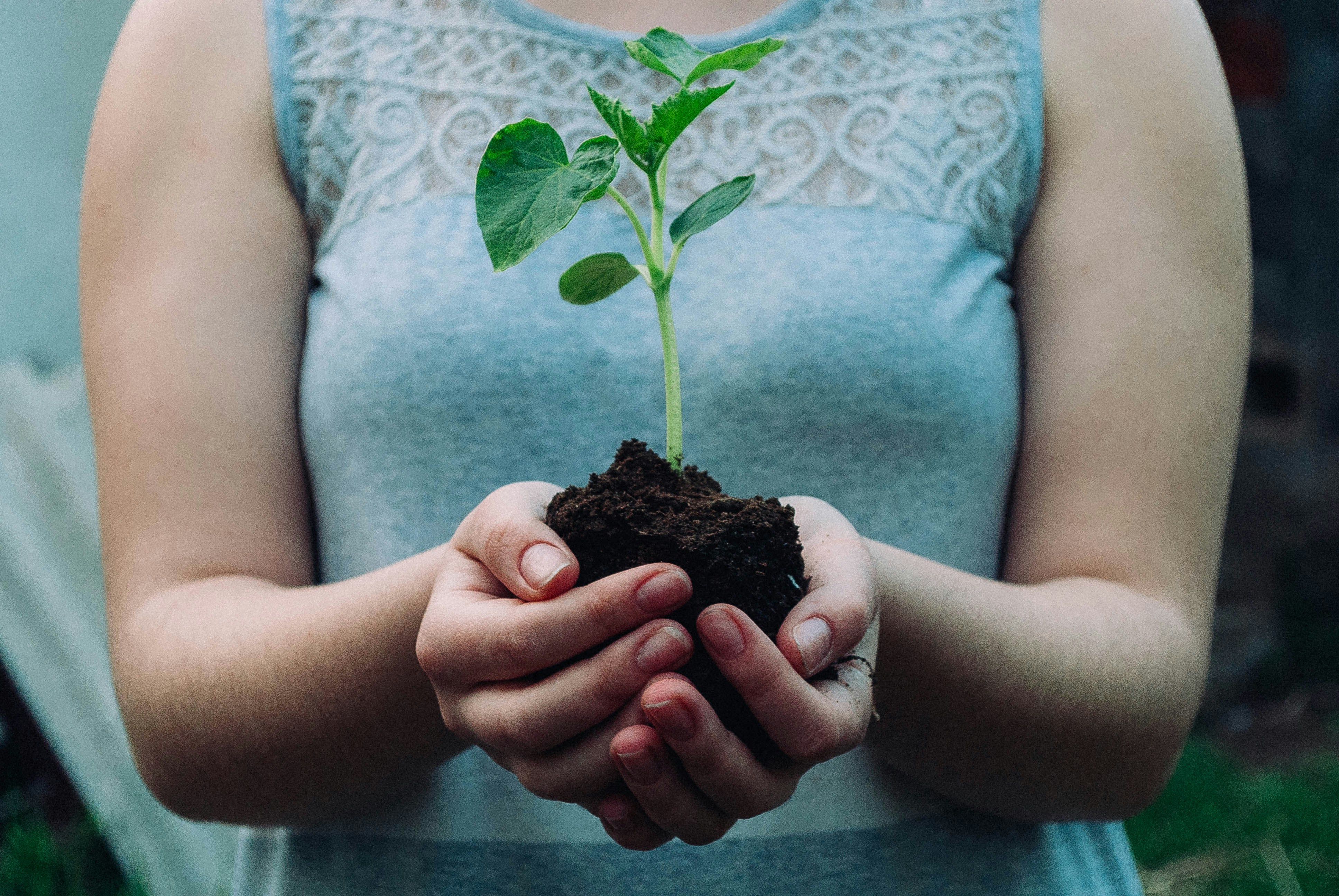 What does a sustainable lifestyle look like? by Gone Greenish woman holding green leafed seedling