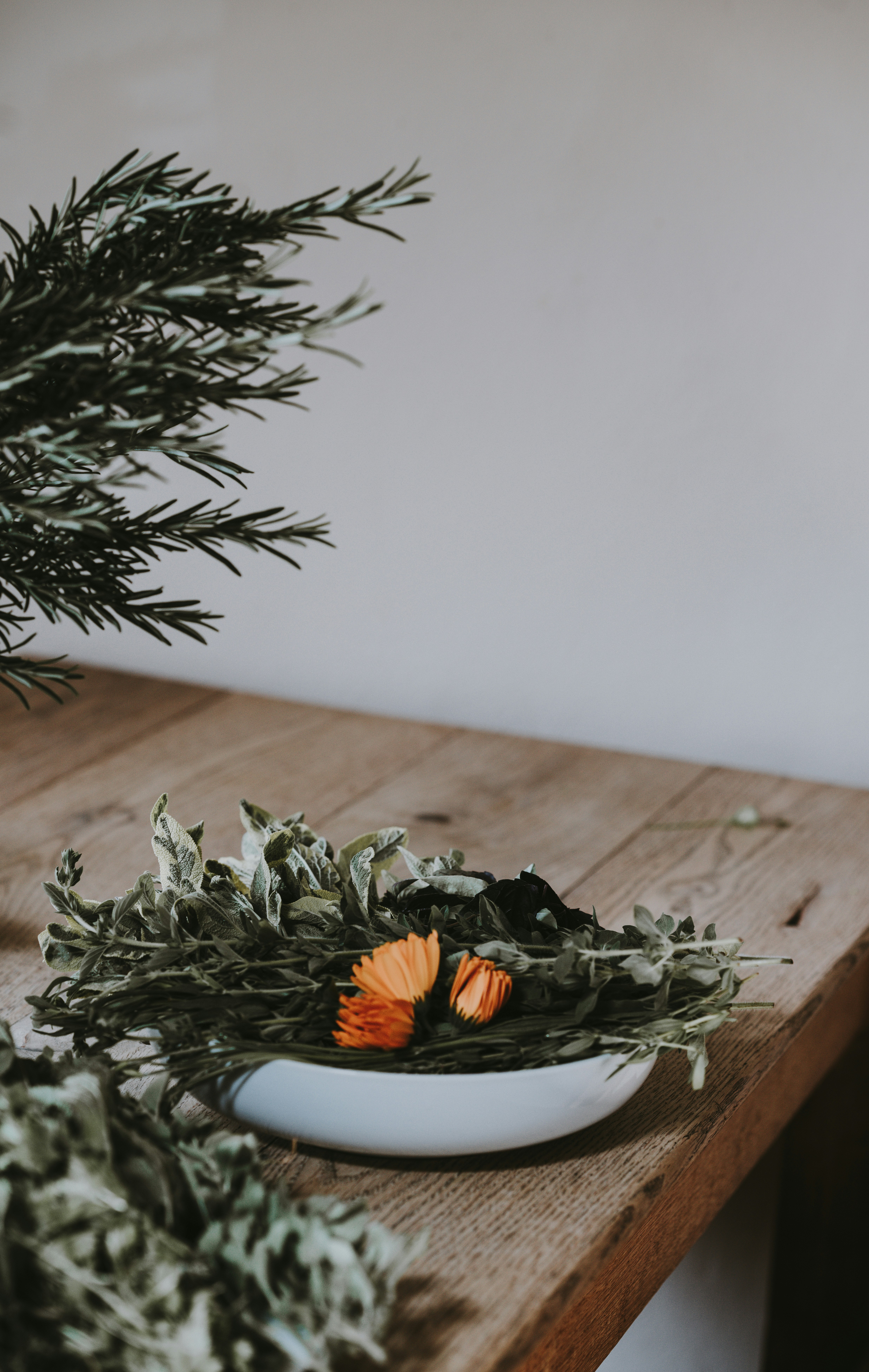 Herbs by Gone Greenish green leaves on white bowl