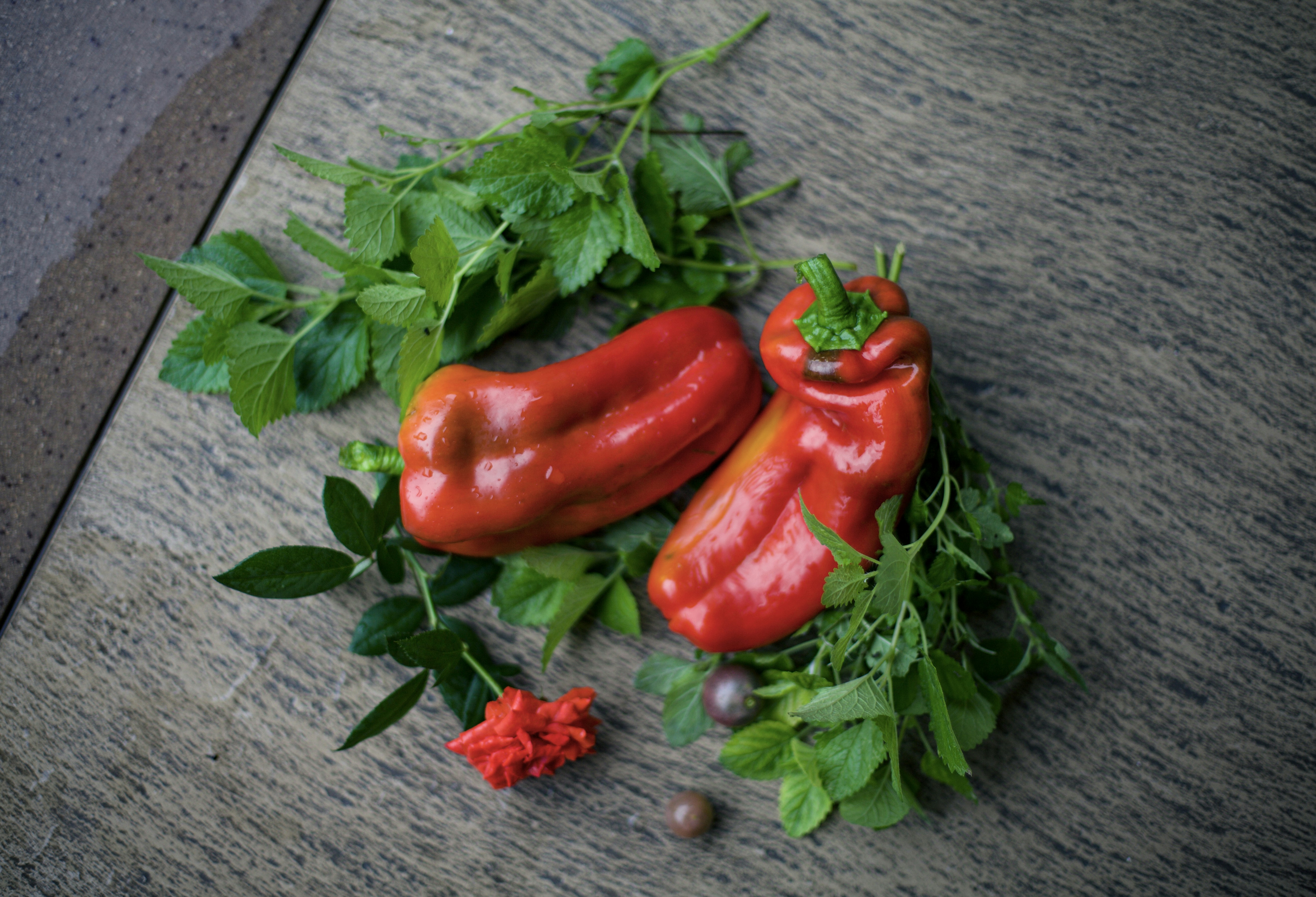 a couple of red peppers sitting on top of green leaves