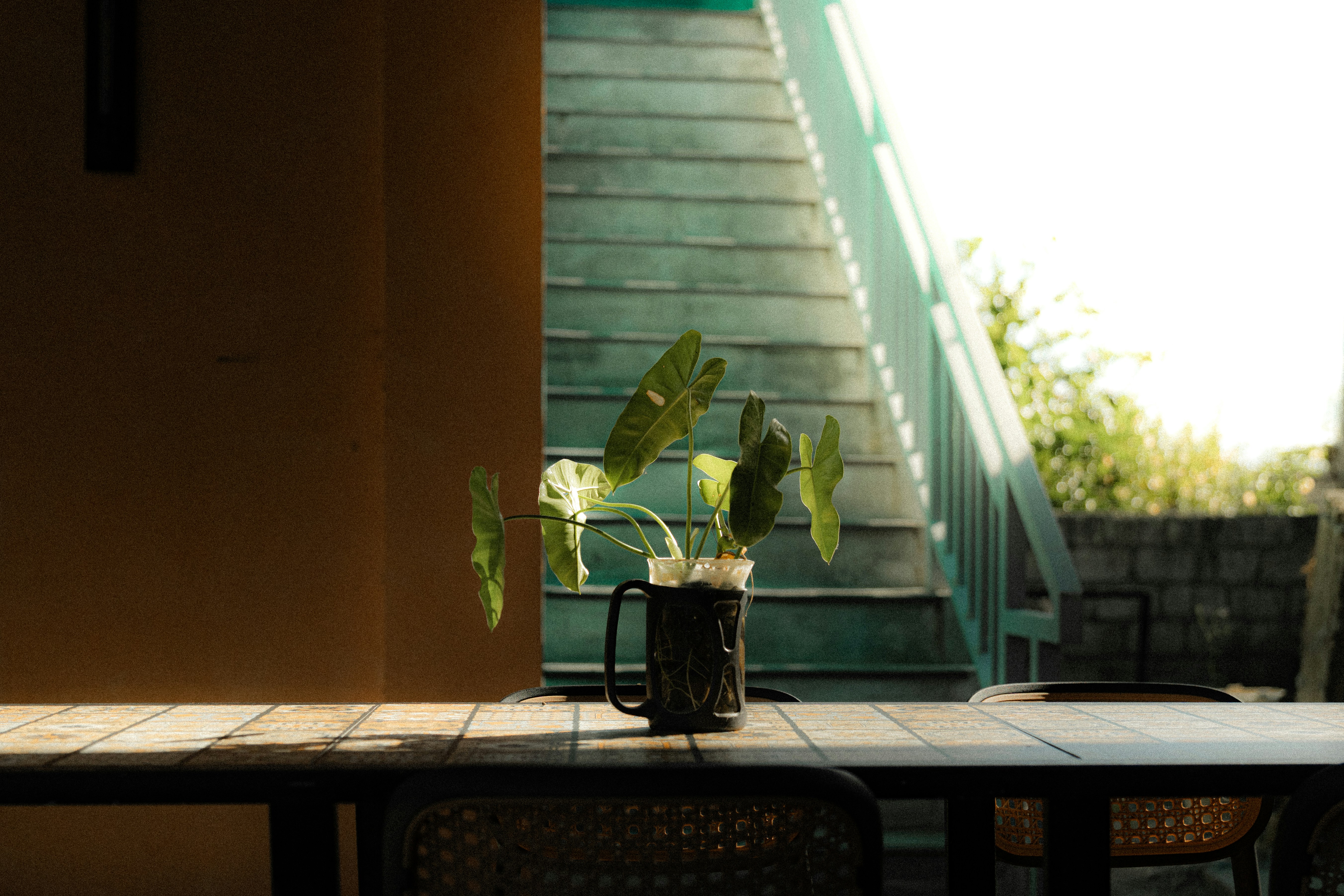 Plant on table with stairs in background