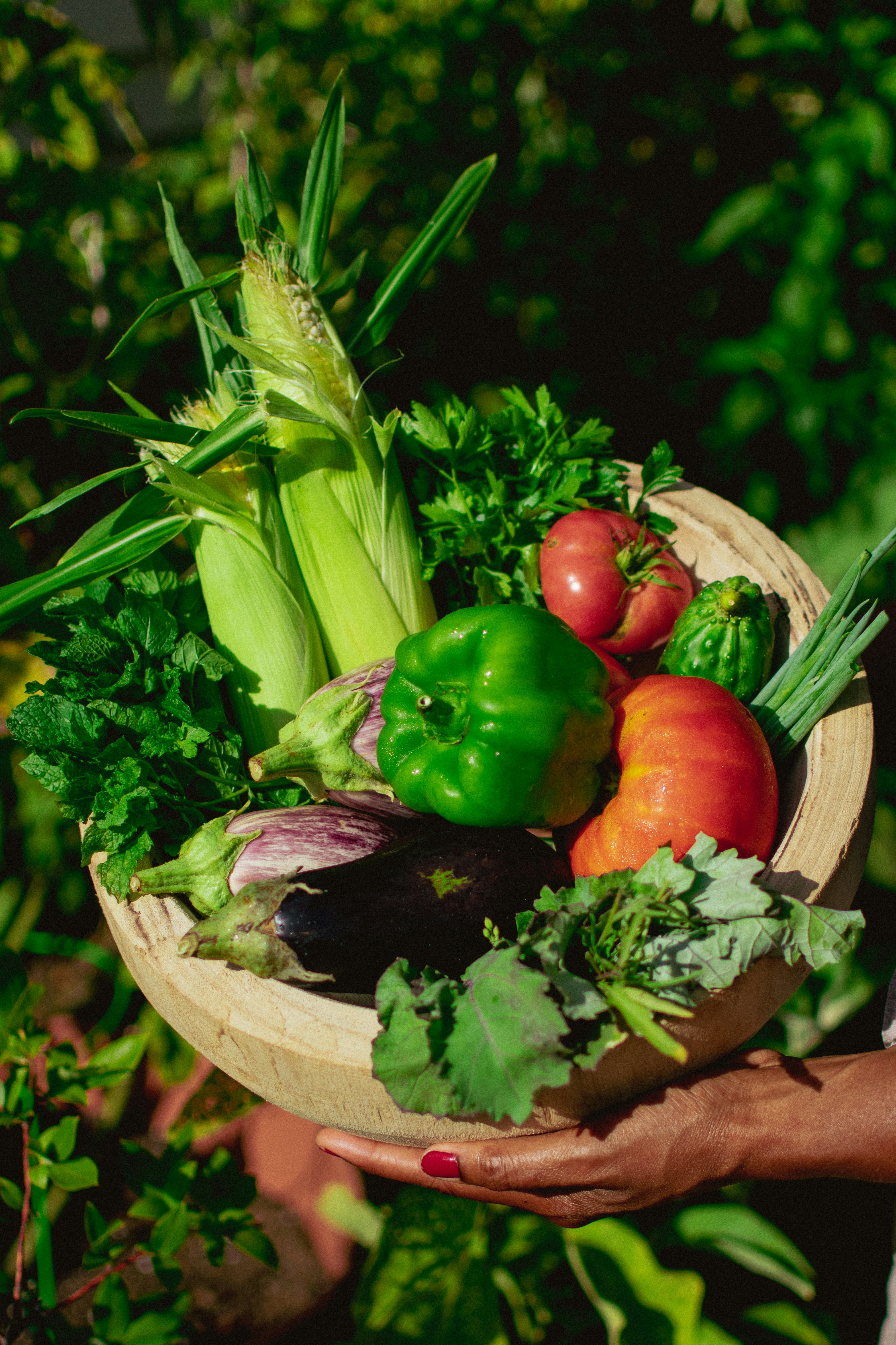 A grateful harvest. by Gone Greenish a hand holding a plate of vegetables