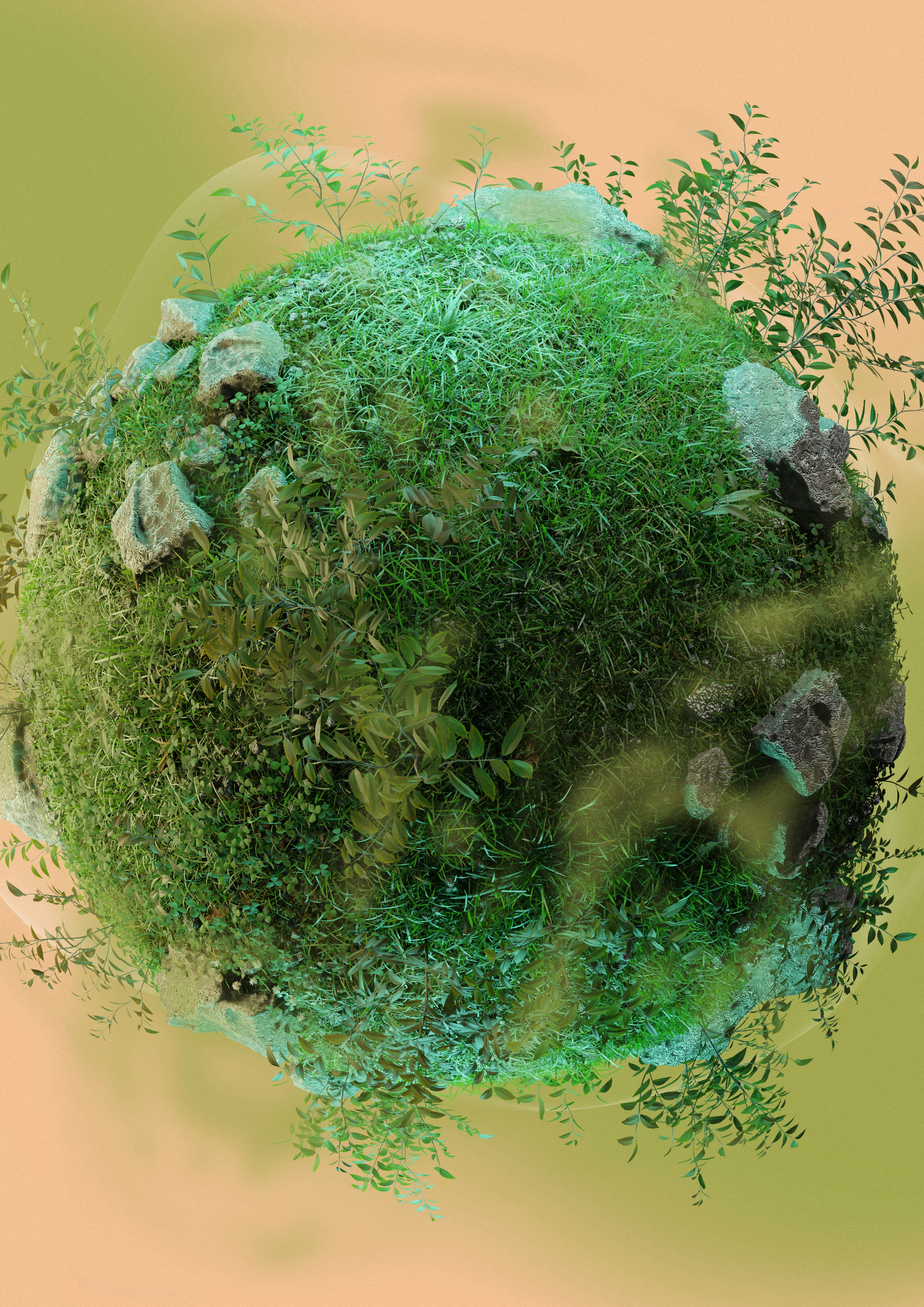 A picture of a green ball of grass