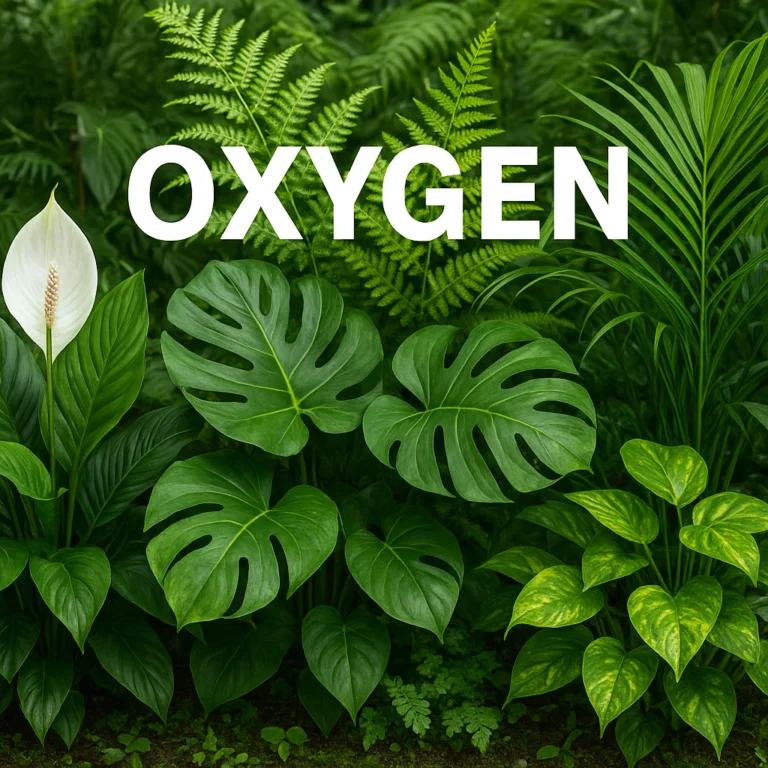 Featured image for 8,0 Plants Needed for 20 Humans The Survival Math 2026