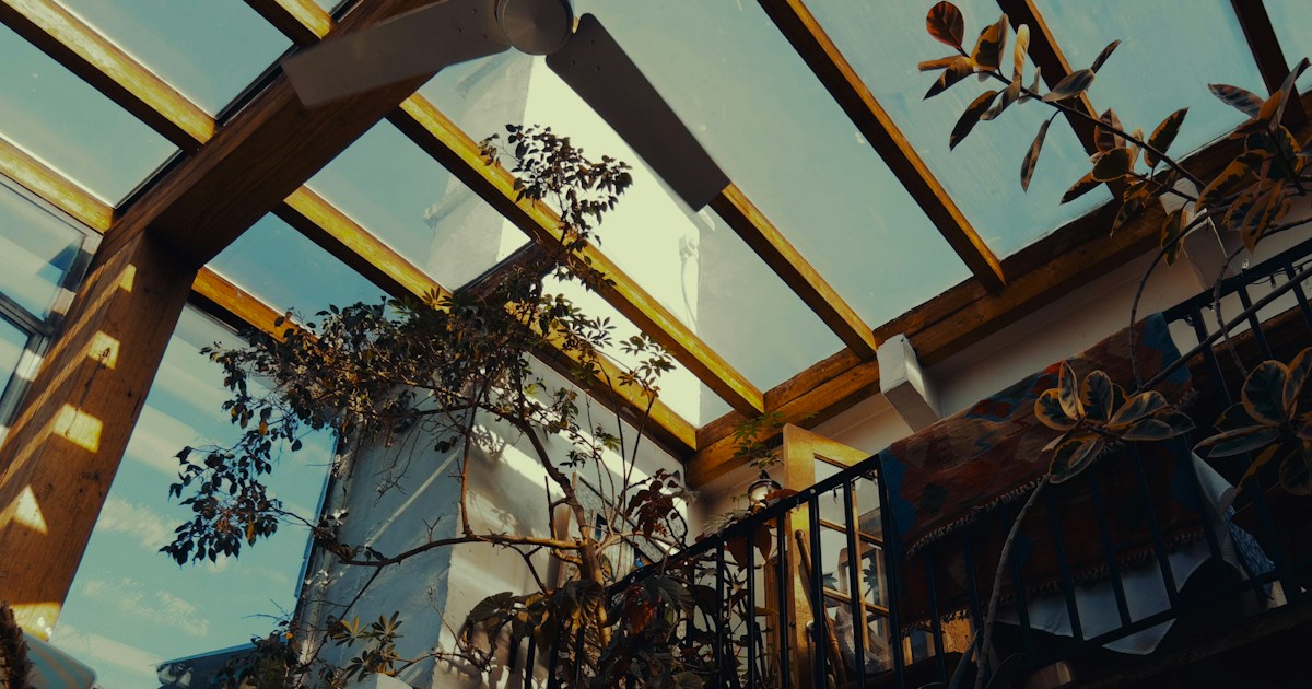 Interior view with plants and glass ceiling